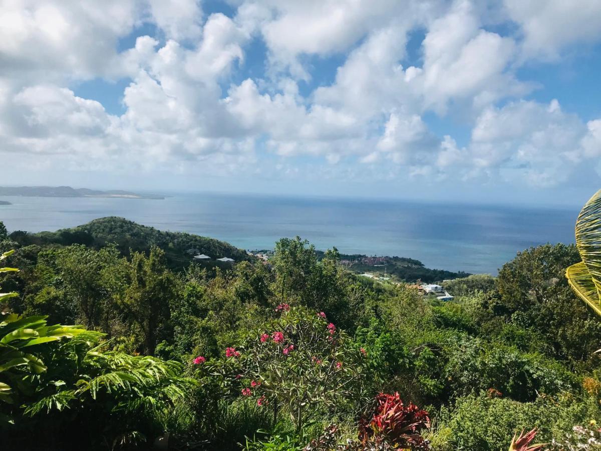 Appartement Prive Eco-Responsable, Vue Sur La Mer Des Caraibes Et Jardin Clos, Wifi, A 2Mn De La Plage Sainte-Luce Kültér fotó