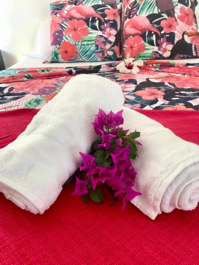 Appartement Prive Eco-Responsable, Vue Sur La Mer Des Caraibes Et Jardin Clos, Wifi, A 2Mn De La Plage Sainte-Luce Kültér fotó