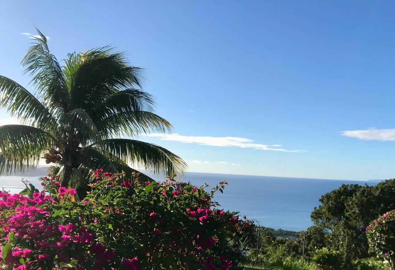 Appartement Prive Eco-Responsable, Vue Sur La Mer Des Caraibes Et Jardin Clos, Wifi, A 2Mn De La Plage Sainte-Luce Kültér fotó